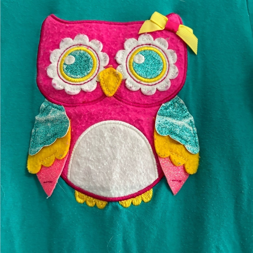 Emily Rose Teal Owl Long Sleeve Shirt - Picture 3 of 5